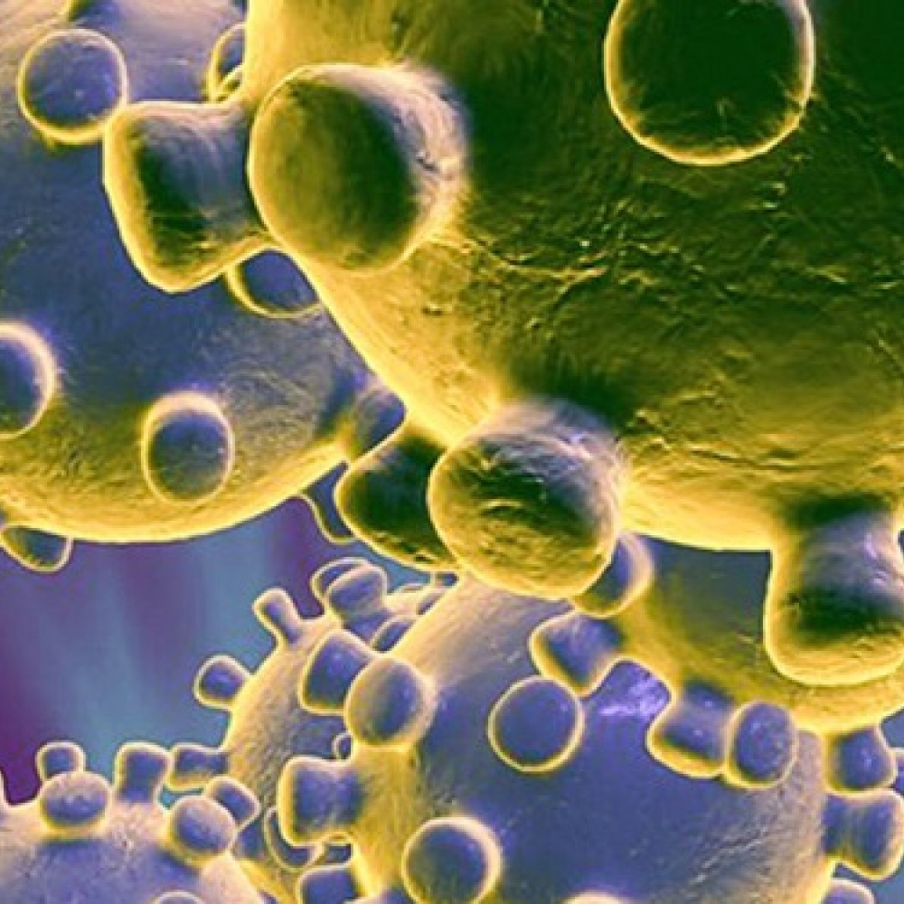 Plano de Contingência Covid-19 Agrupamento Escolas Escariz