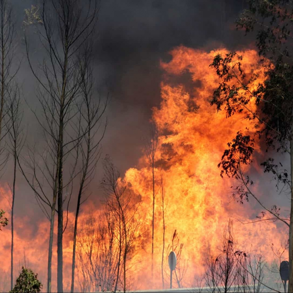 Declaração da situação de alerta entre as 00h00 de 21 de agosto de 2022 e as 23h59 de 23 de agosto de 2022, para todo o território continental.